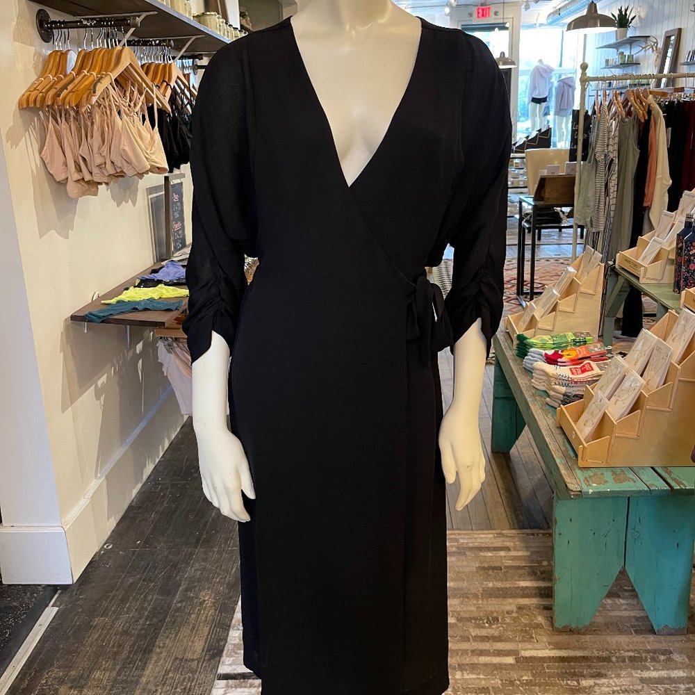 Babton (Aritzia) Black Ludovic Dress